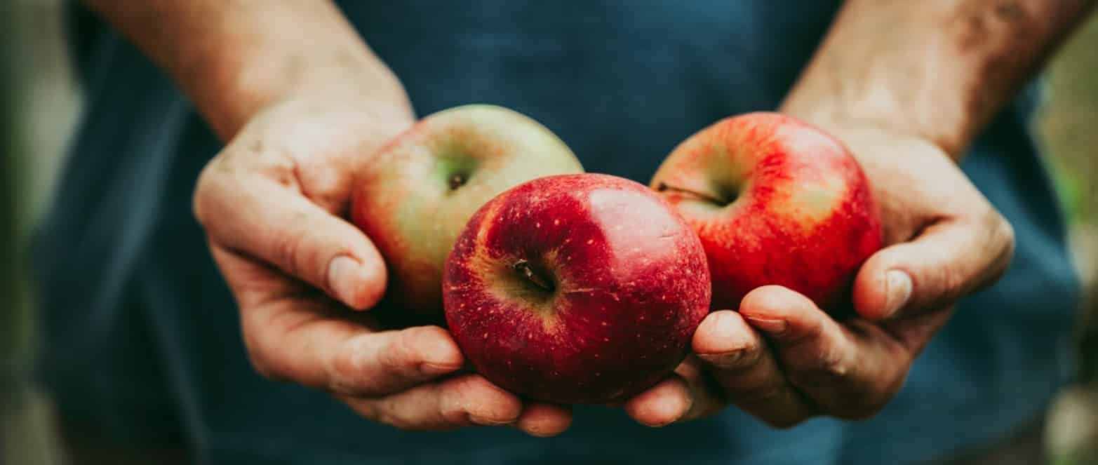 Eureka: Science Makes Apples Tastier