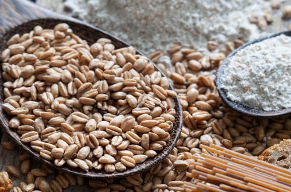 What does Magnesium do for the human body?