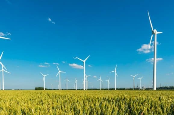 The Role of AgTech in Making Agriculture More Sustainable