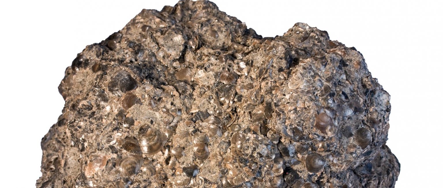What Is Phosphate? What are its Uses And What is ICL's Role ICL