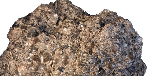 What Is Phosphate?