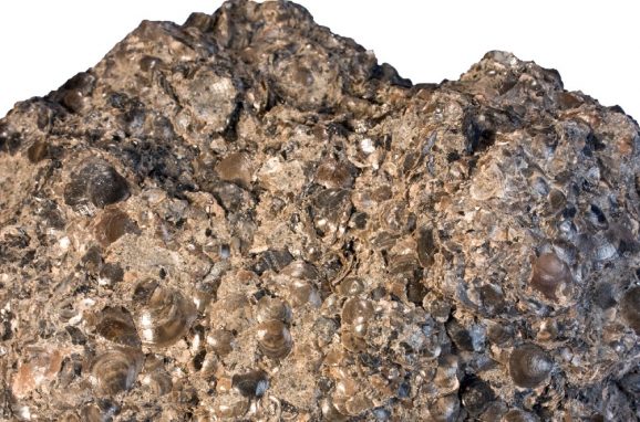 What Is Phosphate?