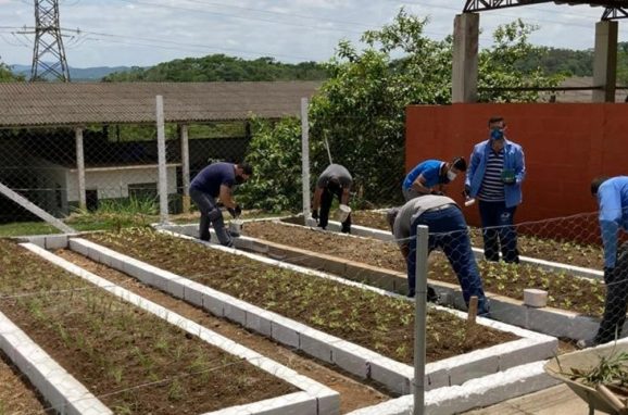 Volunteering: The Benefits for Communities and Unseen Impact on One’s Health