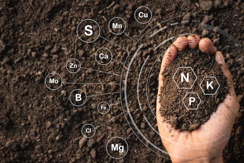 nutrient rich soil