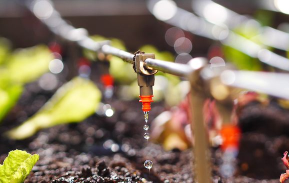 Water Soluble Fertilizers (WSFs)