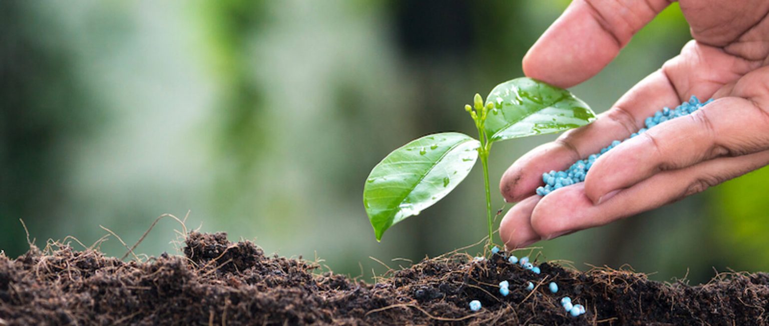 Fertilizers 101 Fertilizers Basics You Need To Know ICL Group Fertilizers 101 Fertilizers Basics You Need To Know ICL Group