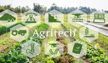 The Positive Impact of AgTech in Advancing Food Security