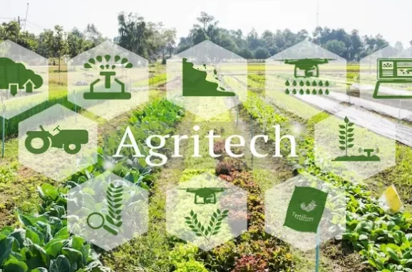 The Positive Impact of AgTech in Advancing Food Security