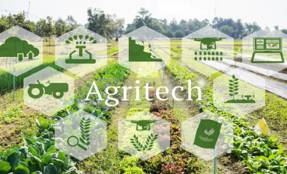 The Positive Impact of AgTech in Advancing Food Security
