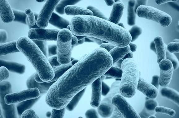 Brominated Biocides as Effective Antiviral Agents