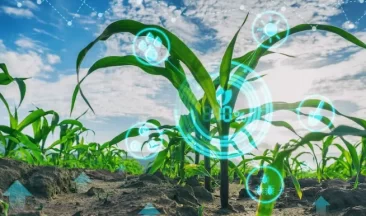 Digital Solutions in Agriculture- The Positive Effect They Play on the Global Food Supply Chain