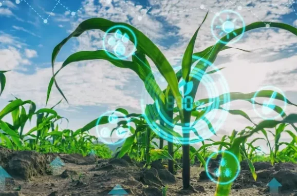 Digital Solutions in Agriculture- The Positive Effect They Play on the Global Food Supply Chain