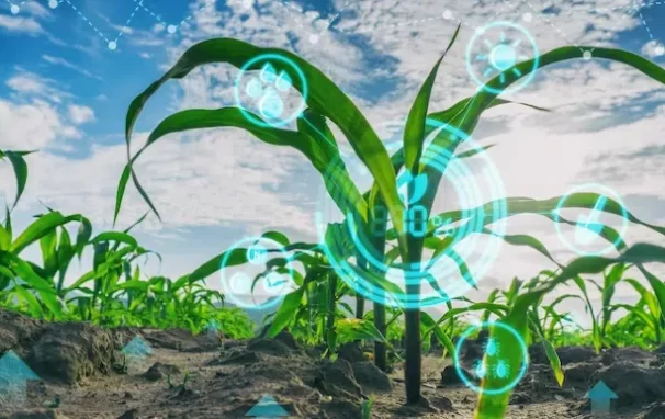 Digital Solutions in Agriculture- The Positive Effect They Play on the Global Food Supply Chain