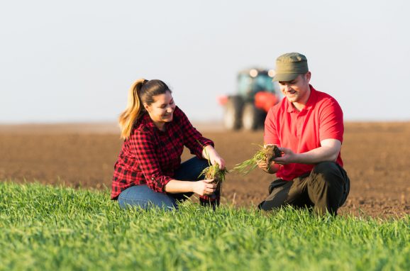 The Global Move to More Sustainable Agriculture