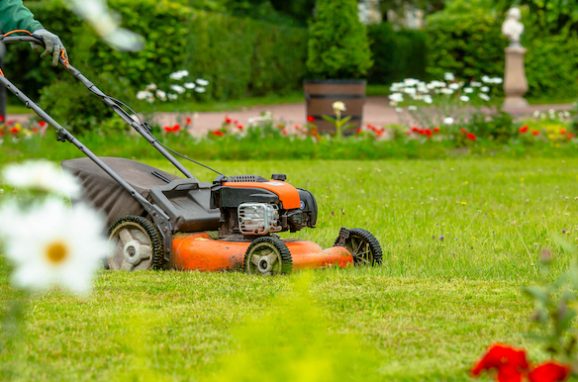 Turf and Lawn Renovation with ICL