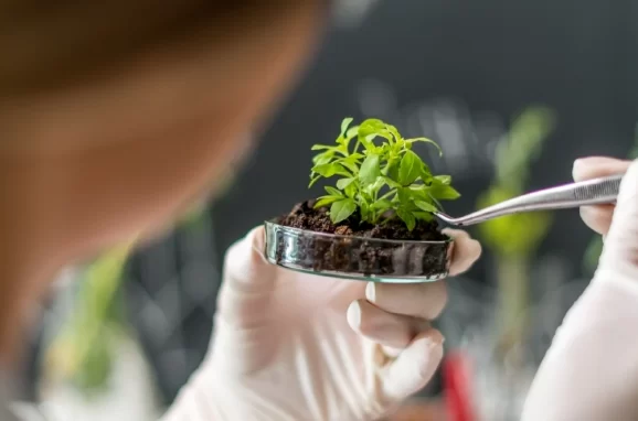 Biostimulants for Plants – Giving Nature a Nudge!