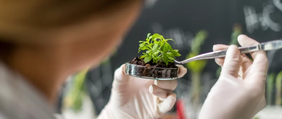 Biostimulants for Plants – Giving Nature a Nudge!