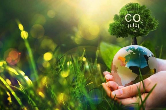 ICL’s Employee Carbon Challenge