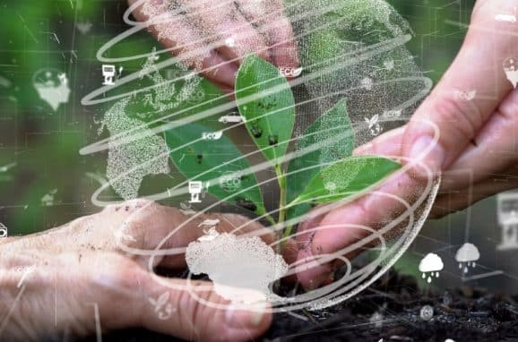 The Evolution from CSR to ESG
