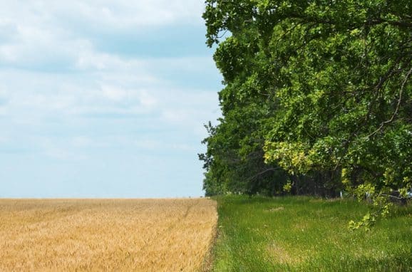 What is Regenerative Agriculture?
