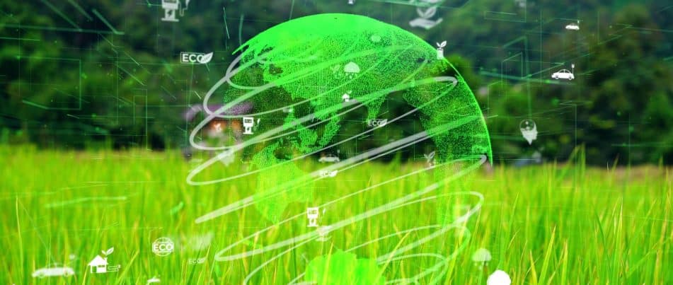 10 Best Practices to Reduce Carbon Footprint in Agriculture