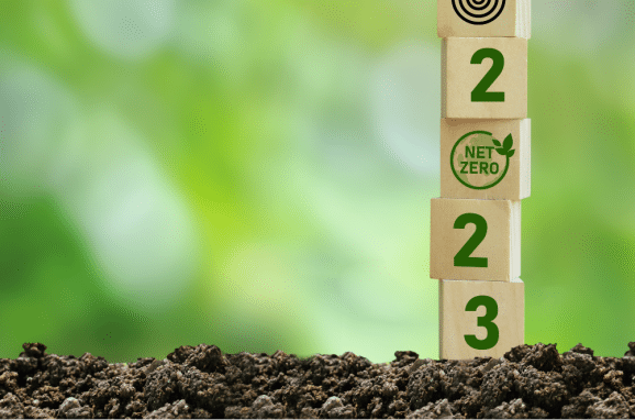 5 Top Food Trends to Watch Closely in 2023