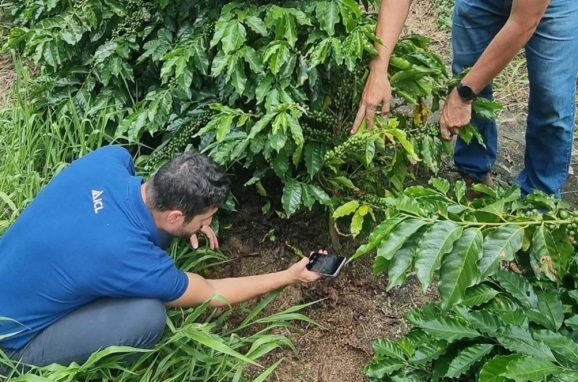 Digital Solutions with ICL- Agmatix Creating Value from Agricultural Big Data