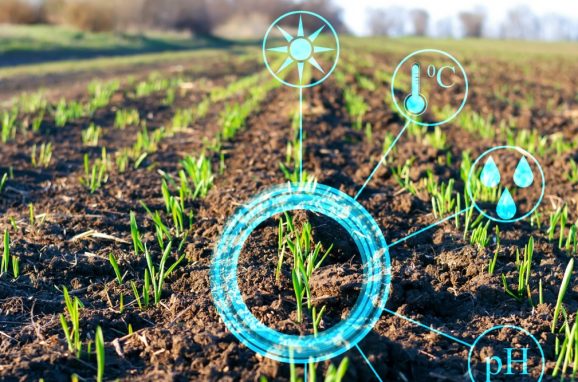 ICLeaf: A New Approach to Season-Long Data