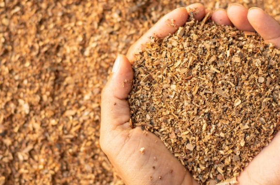 Wood Fibers in Ornamental Horticulture: A Sustainable and Versatile Solution