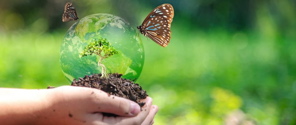 The Importance of Biodiversity to Sustainability and the Future of Agriculture