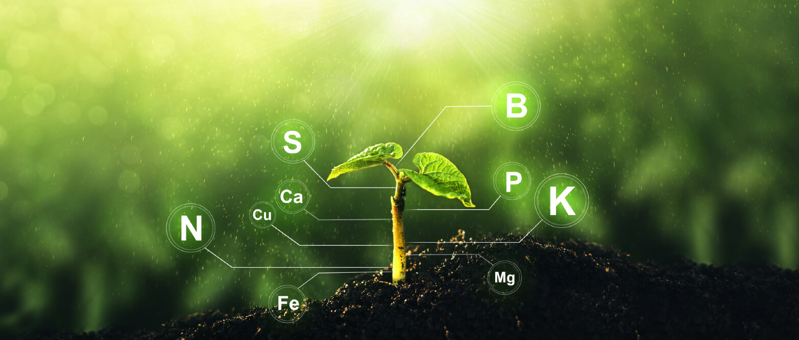 Increasing nutrient delivery efficiency