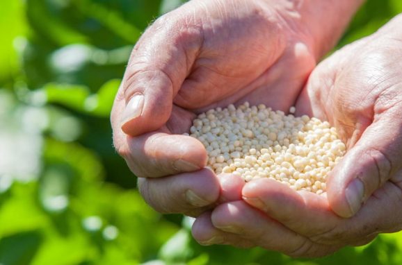 Tracking Nutrients Using the CRF Timer 