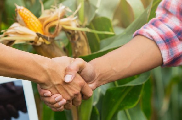 GROWERS: putting easy-to-use technology in the hands of every farmer, advisor, and retailer 