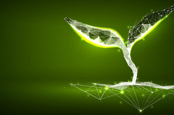 ICL Invests in AI-Power for AgriTech!
