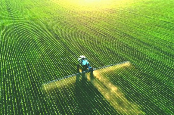 Feeding the Future: The Pivotal Role of Fertilizers in Global Food Security 