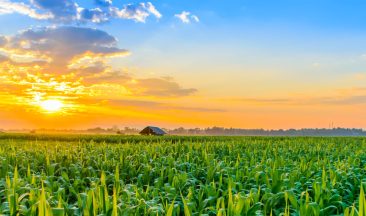 The Basics of Coated Fertilizer Technology