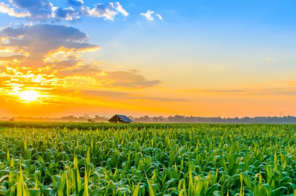 The Basics of Coated Fertilizer Technology