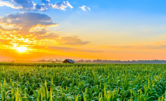 The Basics of Coated Fertilizer Technology