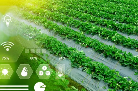 AgTech: Technologies Revolutionizing Agriculture