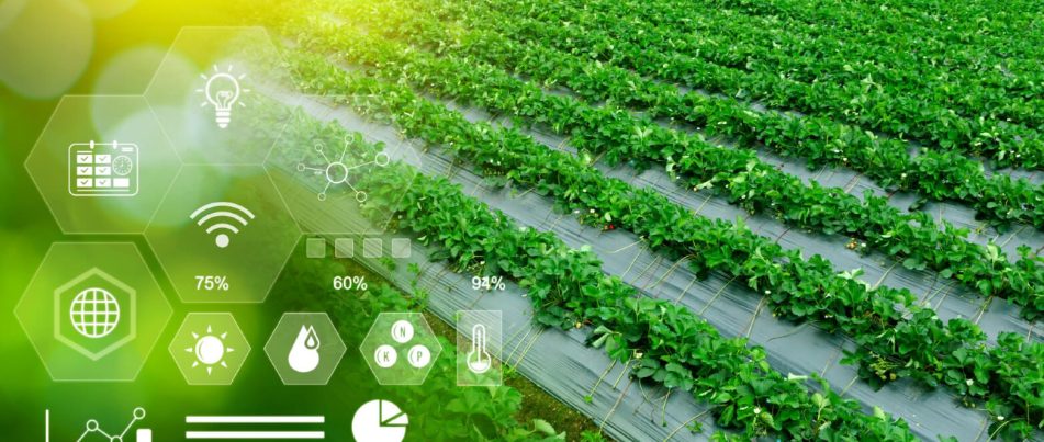 AgTech: Technologies Revolutionizing Agriculture