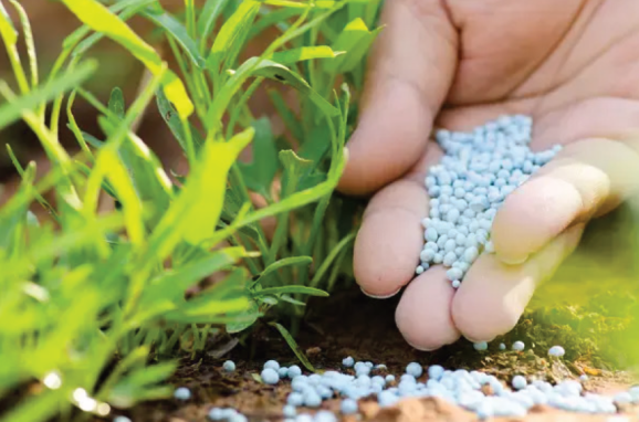 INNOVACIONES EN SOLUCIONESAGRÍCOLAS SOSTENIBLES