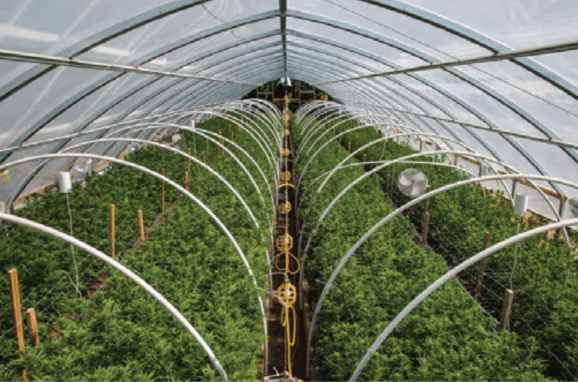 3 Agriculture Stocks Investors Love Right Now