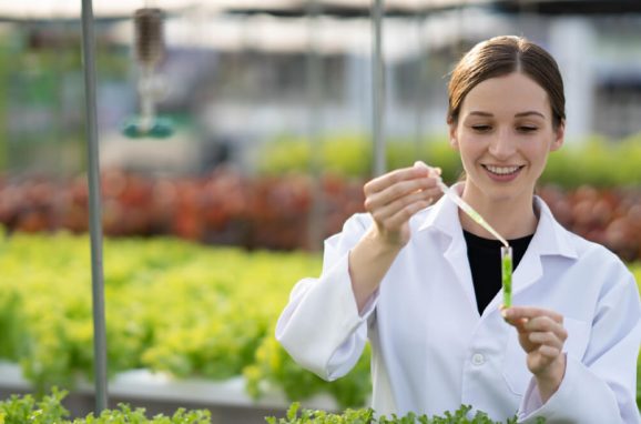 Empowering Growth: How Biostimulants Are Shaping the Future of Sustainable Agriculture