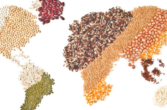 ICL’s Commitment to Strengthening the Four Pillars of Food Security