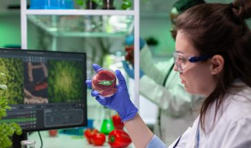 Alternative Proteins, an Innovation at the Heart of Sustainable Nutrition