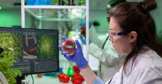 Alternative Proteins, an Innovation at the Heart of Sustainable Nutrition