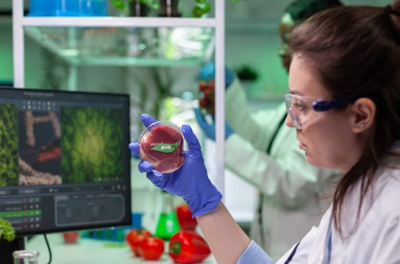 Alternative Proteins, an Innovation at the Heart of Sustainable Nutrition