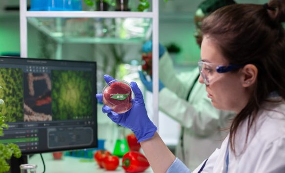 The Science Behind Alternative Protein Technology