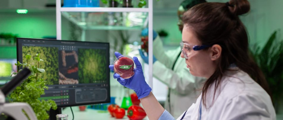 Alternative Proteins, an Innovation at the Heart of Sustainable Nutrition