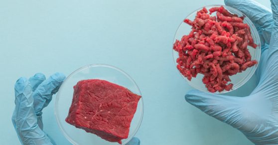 Alternative Proteins and the Future of Sustainable Nutrition